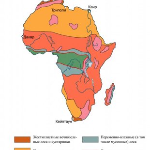 Природные зоны Африки